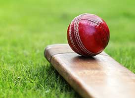 Advitya Homes Cricket Pitches